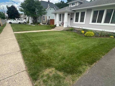 Lawn care service in Plainville, 06062