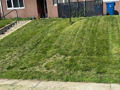 Lawn care service in Saint Paul, 55117