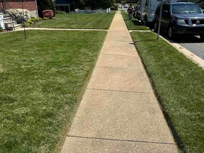 Lawn care service in Timonium, 21093