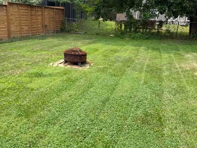 Lawn care service in Arlington, 22201