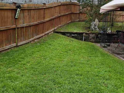 Lawn care service in Columbia, 29209