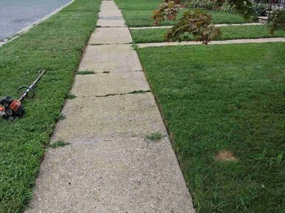 Lawn care service in Catonsville, 21228