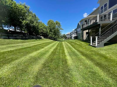 Lawn care service in Eden Prairie, 55347