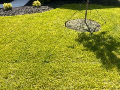 Lawn care service in Canal Winchester, 43110