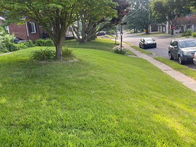 Lawn care service in Lancaster, 17603