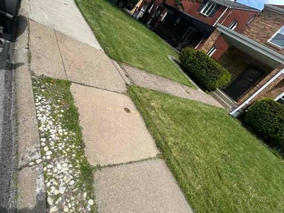 Lawn care service in Pittsburgh, 15226