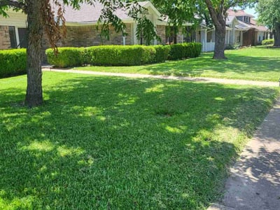 Lawn care service in Garland, 75043