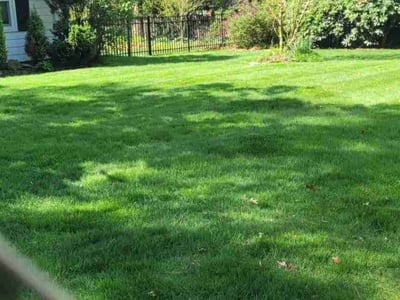 Lawn care service in Warwick, 02886