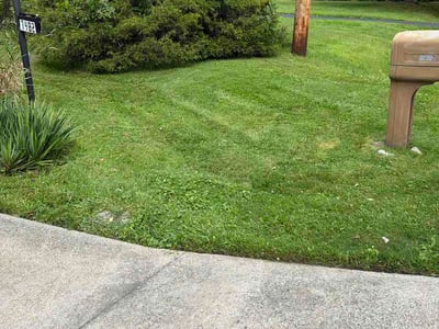 Lawn care service in Hudson, 44236