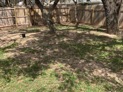 Lawn care service in Boerne, 78006