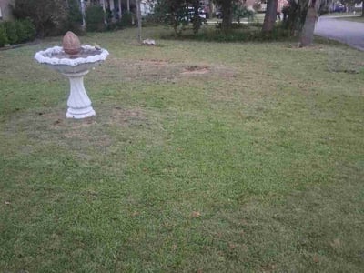 Lawn care service in Goose Creek, 29445