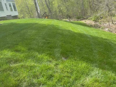 Lawn care service in Leesburg, 20176