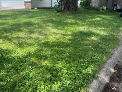 Lawn care service in Janesville, 53546