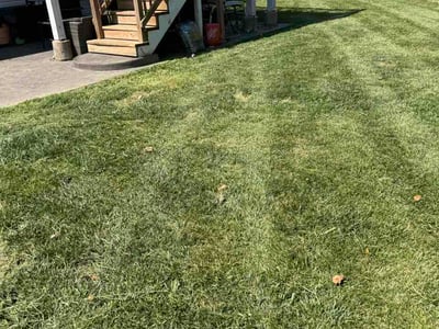 Lawn care service in Wentzville, 63385