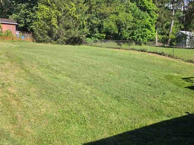 Lawn care service in Binghamton, 13903