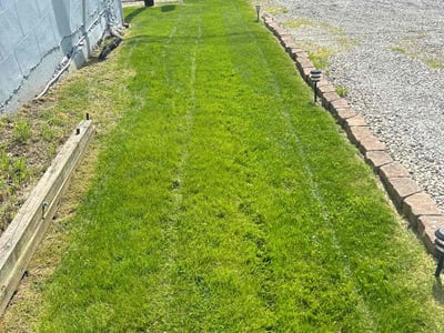 Lawn care service in Washington, 15301