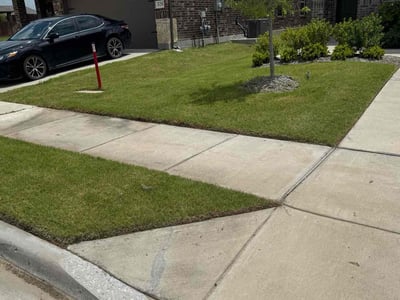 Lawn care service in Lavon, 75166