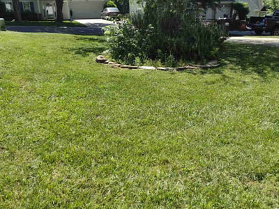Lawn care service in Indian Land, 29707