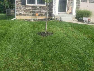 Lawn care service in Morrow, 45152