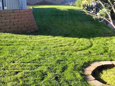 Lawn care service in Colorado Springs, 80923