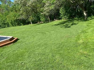 Lawn care service in Olympia Fields, 60461