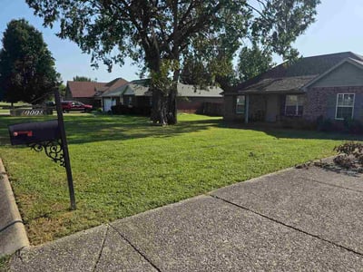 Lawn care service in Smyrna, 37167