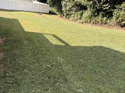 Lawn care service in Ellettsville, 47429