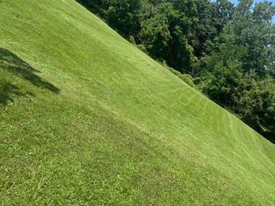Lawn care service in Ontario, 44906