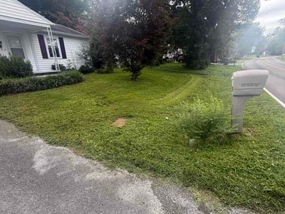 Lawn care service in Maryville, 37804