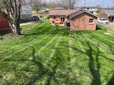 Lawn care service in Alexandria, 41001