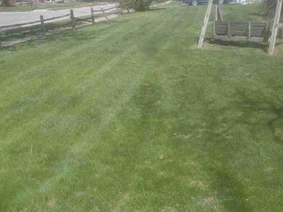 Lawn care service in Dearborn, 48124