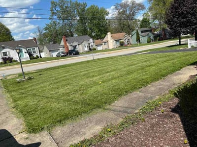 Lawn care service in Youngstown, 44514
