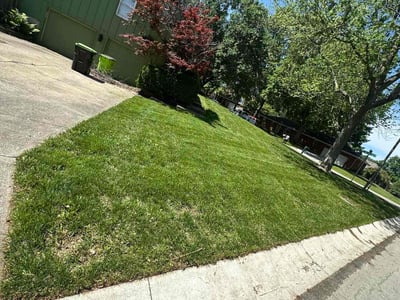 Lawn care service in Lee's Summit, 64063