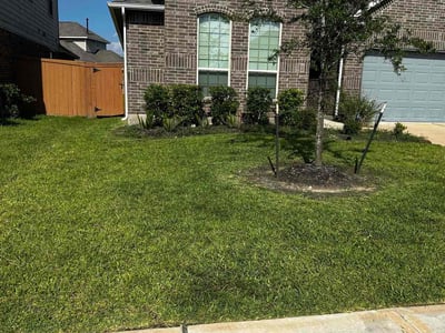 Lawn care service in Rosharon, 77583