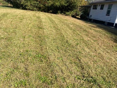 Lawn care service in Indianapolis, 46208