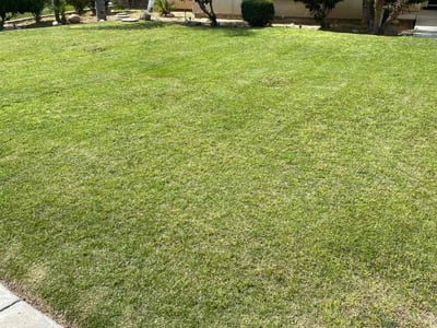 Lawn care service in Bakersfield, 93312