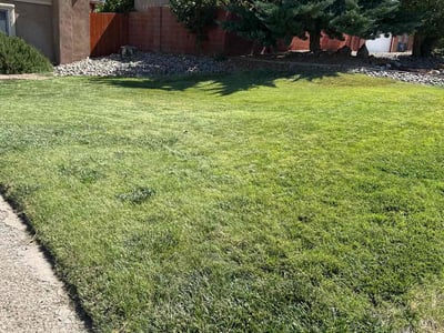 Lawn care service in Albuquerque, 87123