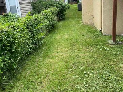 Lawn care service in Kansas City, 64111