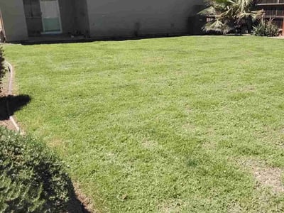 Lawn care service in Bakersfield, 93313
