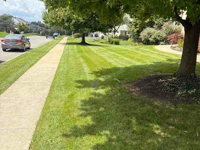 Lawn care service in Lancaster, 17601