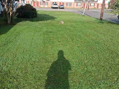 Lawn care service in Colonial Heights, 23834
