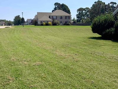 Lawn care service in McDonough, 30253