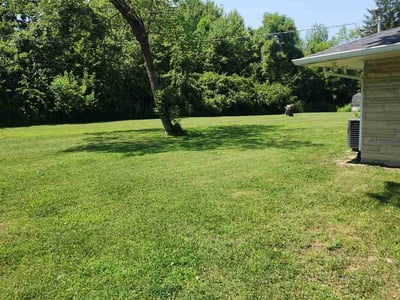 Lawn care service in Indianapolis, 46260