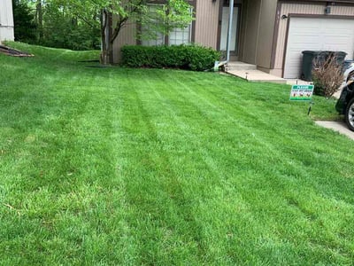 Lawn care service in Kansas City, 66112