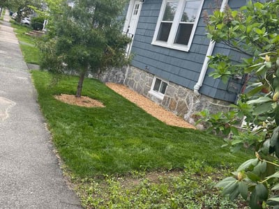 Lawn care service in Boston, 02132