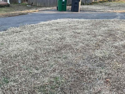 Lawn care service in Charlotte, 28215