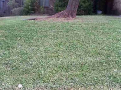 Lawn care service in Grand Prairie, 75050
