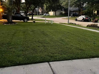 Lawn care service in Conroe, 77385