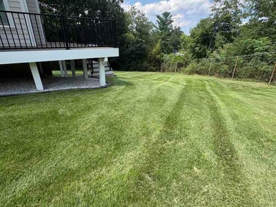 Lawn care service in Arlington, 22207