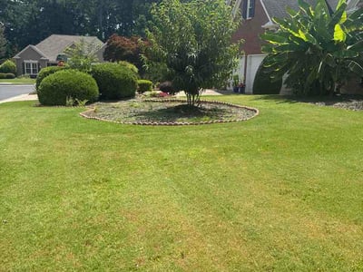Lawn care service in Marietta, 30062